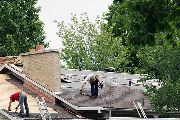Best Gutter Installation and Roofing  in Hill N Dale, FL