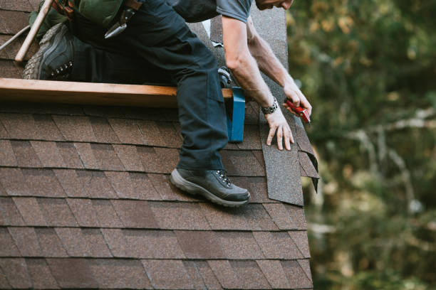 Best Commercial Roofing Services  in Hill N Dale, FL